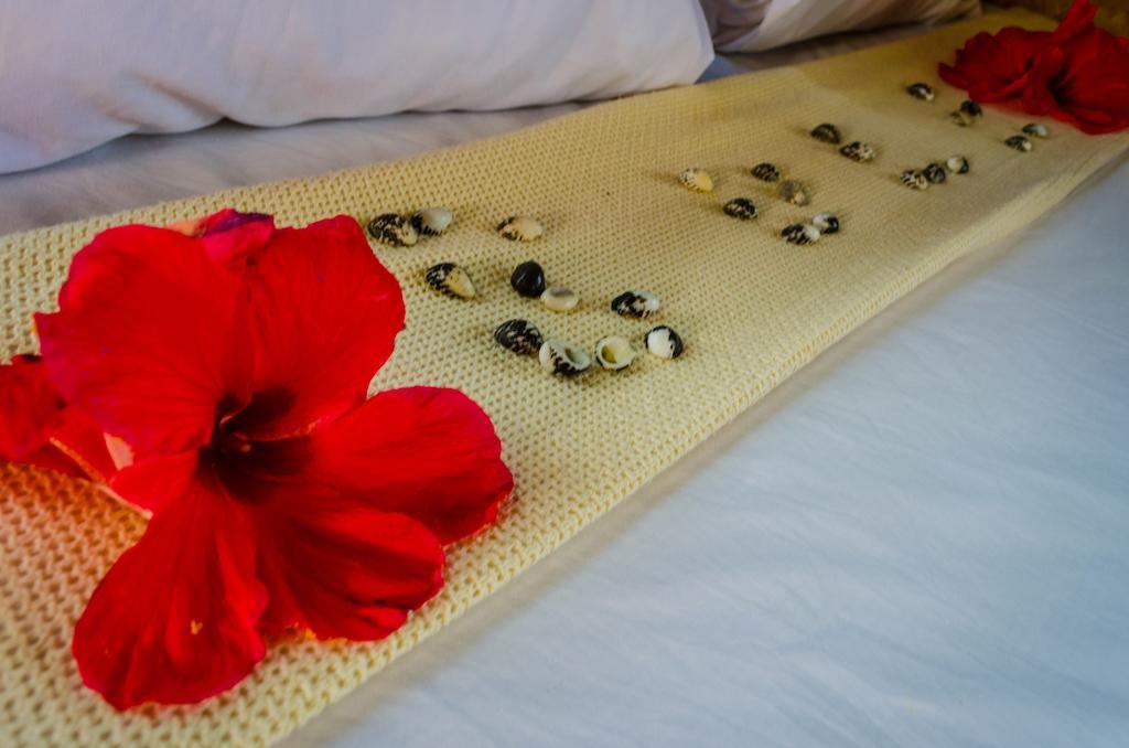 Coralview Island Resort Tavewa Island Esterno foto